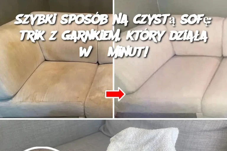 Szybki sposób na czystą sofę: trik z garnkiem, który działa w 5 minut!