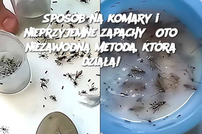 Sposób na komary i nieprzyjemne zapachy? Oto niezawodna metoda, która działa!