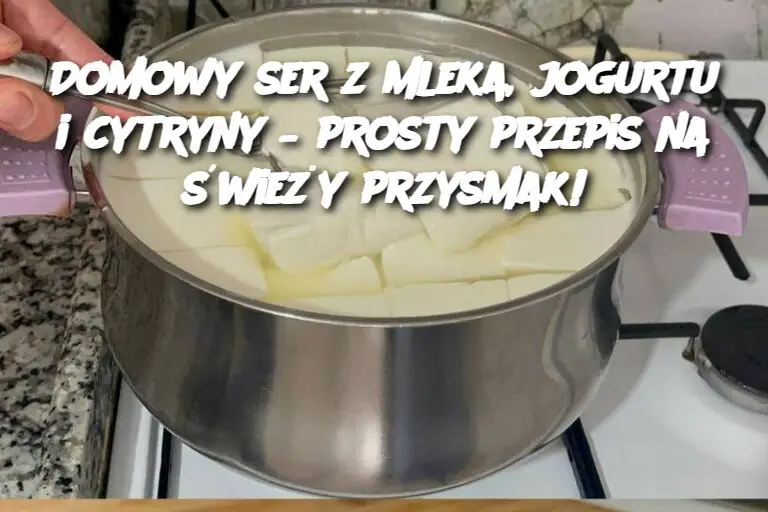 Domowy ser z mleka, jogurtu i cytryny – prosty przepis na świeży przysmak!