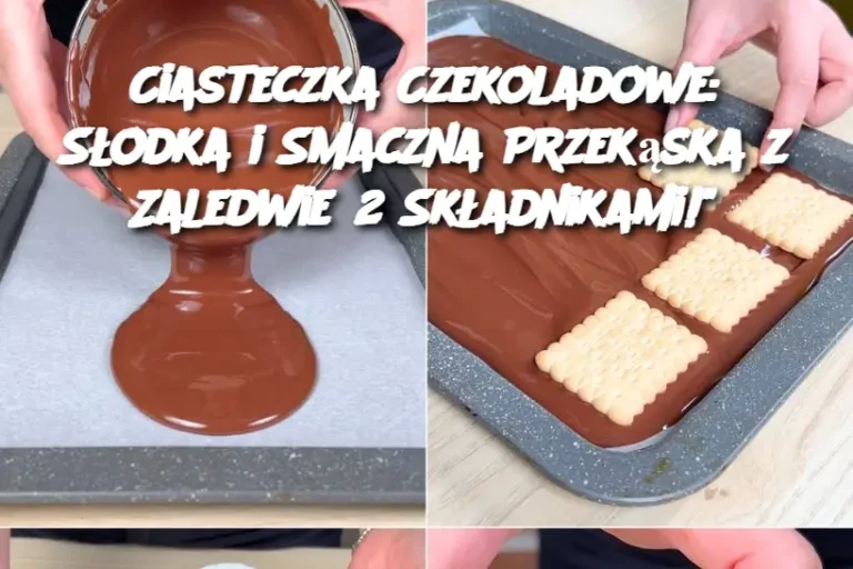 Ciasteczka Czekoladowe: Słodka i Smaczna Przekąska z Zaledwie 2 Składnikami!"