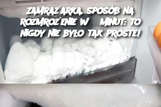 Zamrażarka, sposób na rozmrożenie w 5 minut: to nigdy nie było tak proste!