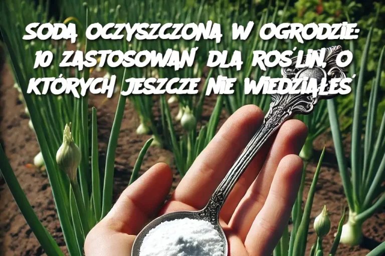 Soda oczyszczona w ogrodzie: 10 zastosowań dla roślin, o których jeszcze nie wiedziałeś