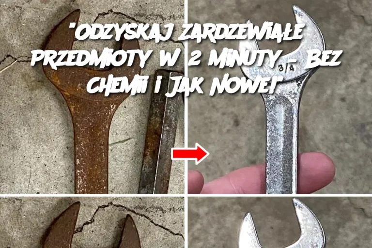 "Odzyskaj Zardzewiałe Przedmioty w 2 Minuty – Bez Chemii i Jak Nowe!"