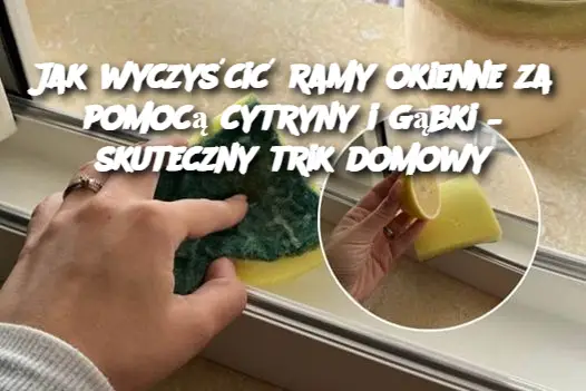 Jak wyczyścić ramy okienne za pomocą cytryny i gąbki – skuteczny trik domowy