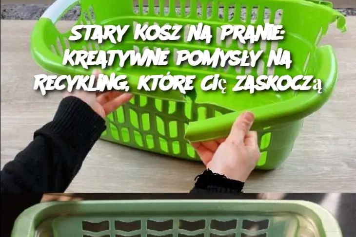 Stary Kosz na Pranie: Kreatywne Pomysły na Recykling, które Cię Zaskoczą