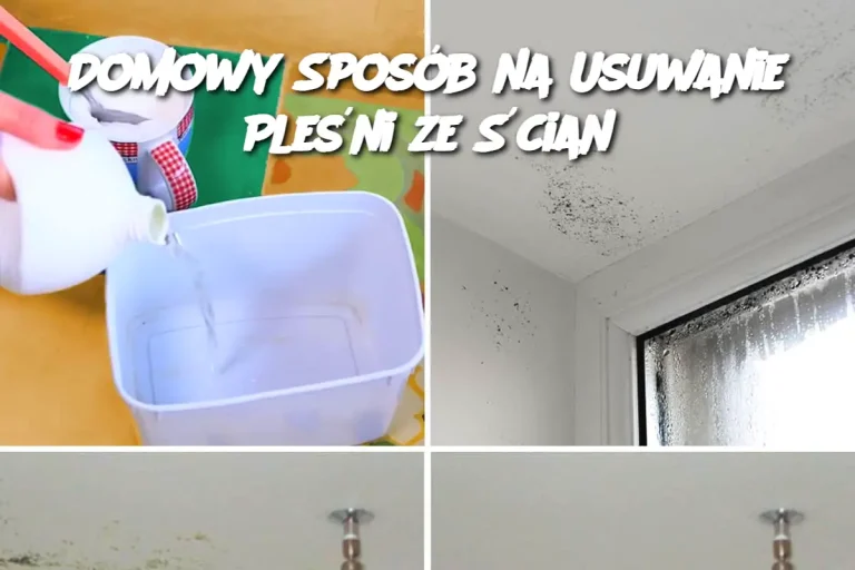 Domowy Sposób na Usuwanie Pleśni ze Ścian