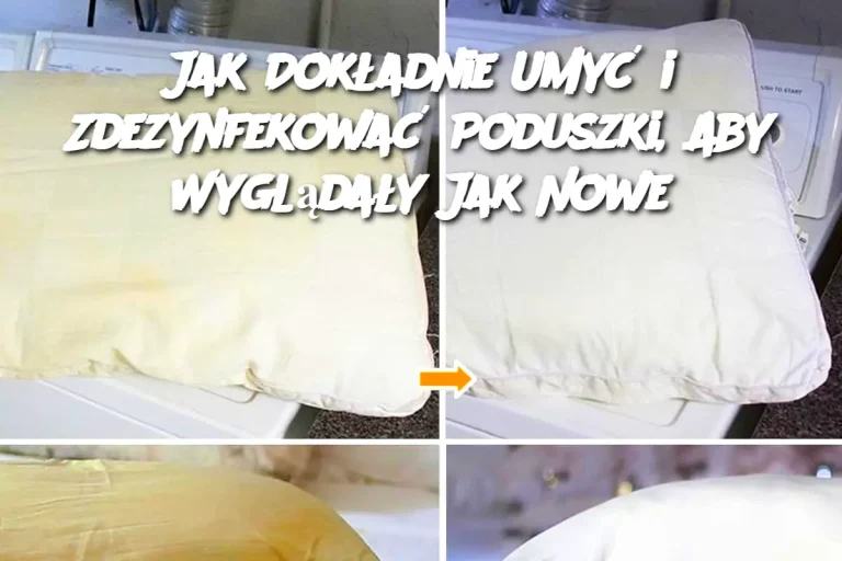 Jak Dokładnie Umyć i Zdezynfekować Poduszki, Aby Wyglądały Jak Nowe