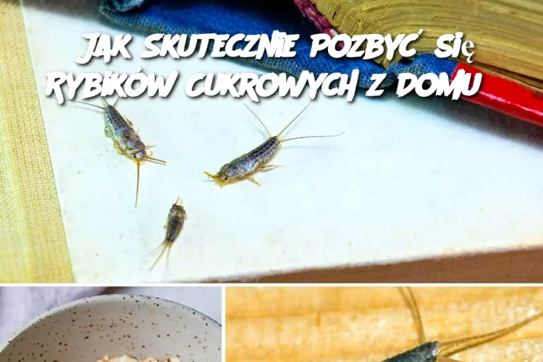 Jak Skutecznie Pozbyć się Rybików Cukrowych z Domu?