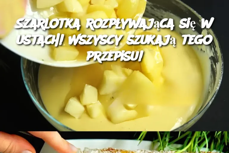 Szarlotka rozpływająca się w ustach! Wszyscy szukają tego przepisu!