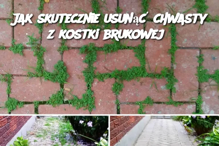 Jak skutecznie usunąć chwasty z kostki brukowej?