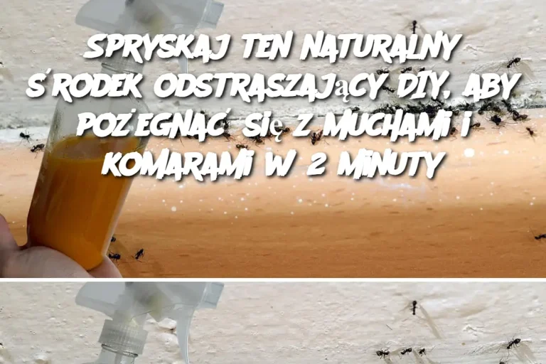 Spryskaj ten naturalny środek odstraszający DIY, aby pożegnać się z muchami i komarami w 2 minuty