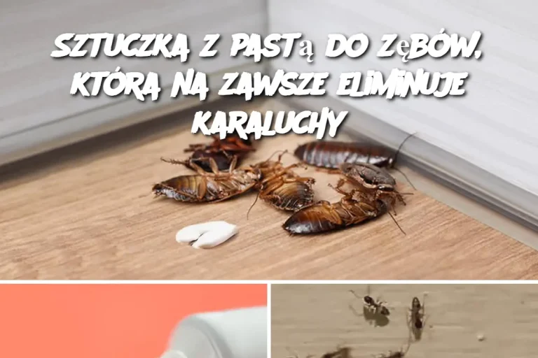 Sztuczka z pastą do zębów, która na zawsze eliminuje karaluchy