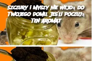 Szczury i Myszy Nie Wejdą do Twojego Domu, Jeśli Poczują Ten Aromat