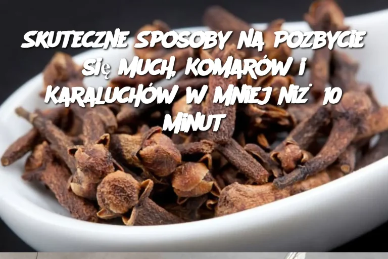 Skuteczne Sposoby na Pozbycie się Much, Komarów i Karaluchów w Mniej niż 10 Minut