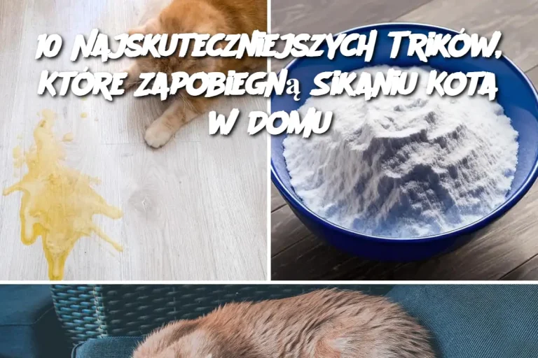 10 Najskuteczniejszych Trików, Które Zapobiegną Sikaniu Kota w Domu