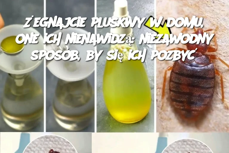 Żegnajcie pluskwy w domu, one ich nienawidzą: niezawodny sposób, by się ich pozbyć