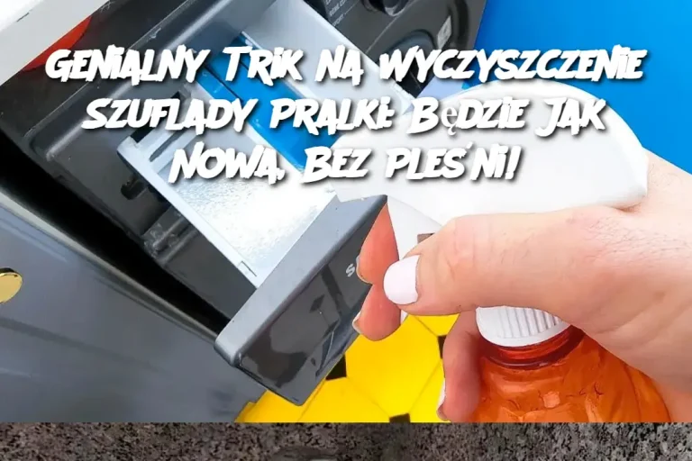 Genialny Trik na Wyczyszczenie Szuflady Pralki: Będzie Jak Nowa, Bez Pleśni!