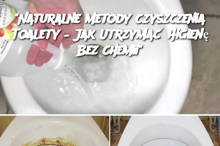 "Naturalne Metody Czyszczenia Toalety – Jak Utrzymać Higienę Bez Chemii"