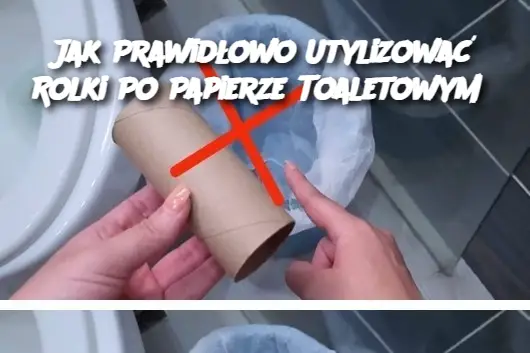 Jak Prawidłowo Utylizować Rolki Po Papierze Toaletowym?