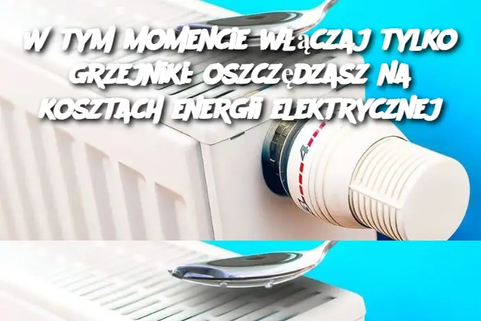 W tym momencie włączaj tylko grzejniki: oszczędzasz na kosztach energii elektrycznej