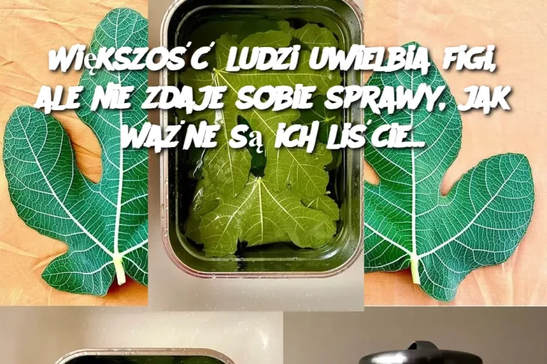 Większość ludzi uwielbia figi, ale nie zdaje sobie sprawy, jak ważne są ich liście...