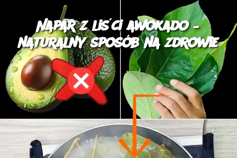 Napar z liści awokado – naturalny sposób na zdrowie