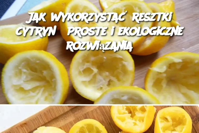 Jak wykorzystać resztki cytryn? Proste i ekologiczne rozwiązania