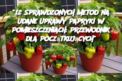 "12 Sprawdzonych Metod na Udane Uprawy Papryki w Pomieszczeniach: Przewodnik dla Początkujących"