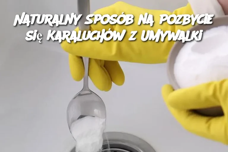 Naturalny Sposób na Pozbycie się Karaluchów z Umywalki