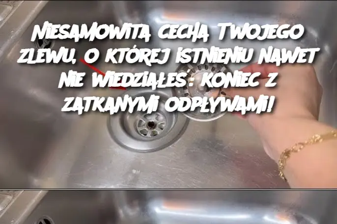 Niesamowita cecha Twojego zlewu, o której istnieniu nawet nie wiedziałeś: koniec z zatkanymi odpływami!