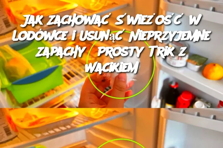 Jak Zachować Świeżość w Lodówce i Usunąć Nieprzyjemne Zapachy? Prosty Trik z Wacikiem