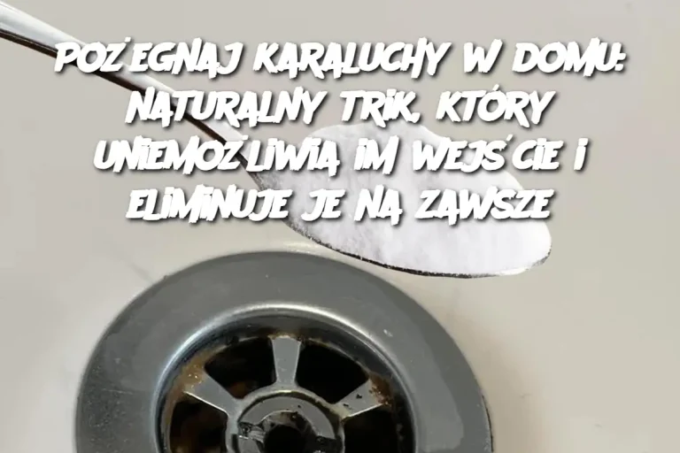 Pożegnaj karaluchy w domu: naturalny trik, który uniemożliwia im wejście i eliminuje je na zawsze