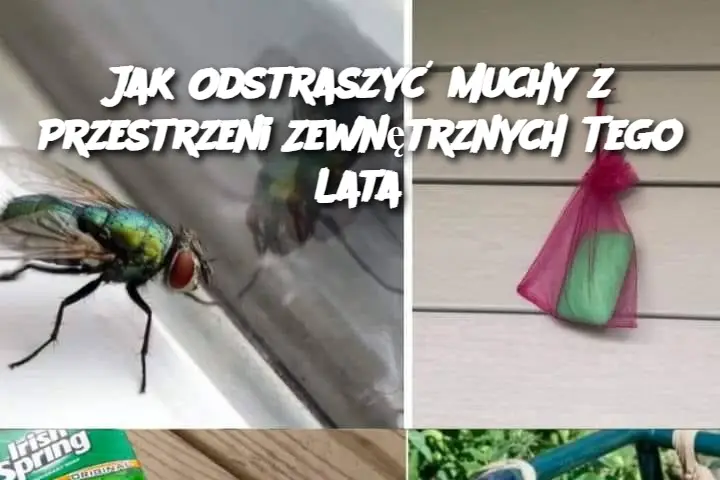 Jak Odstraszyć Muchy z Przestrzeni Zewnętrznych Tego Lata