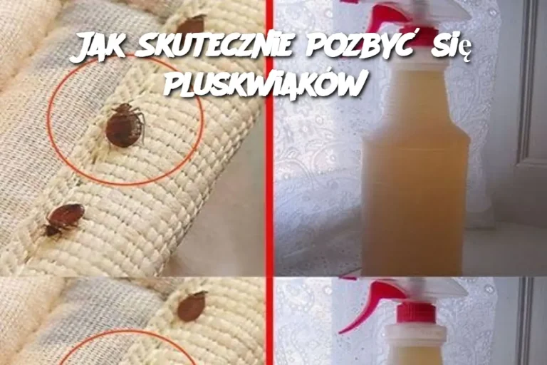 Jak Skutecznie Pozbyć się Pluskwiaków?