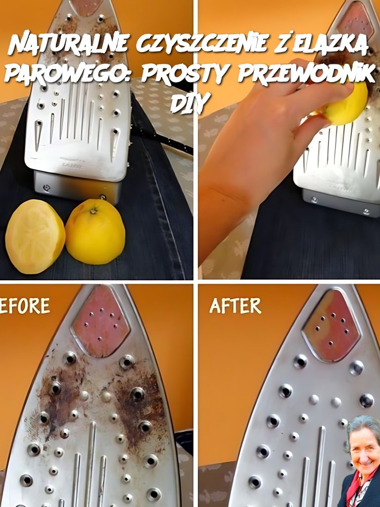 Naturalne Czyszczenie Żelazka Parowego: Prosty Przewodnik DIY