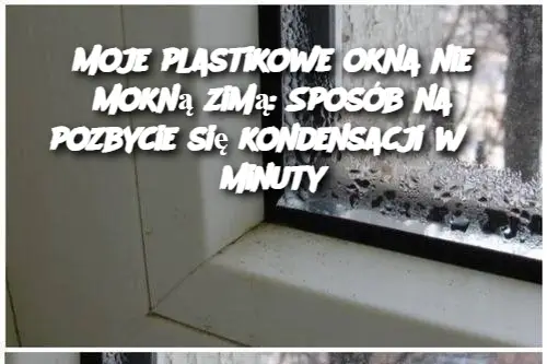 Moje plastikowe okna nie mokną zimą: Sposób na pozbycie się kondensacji w 3 minuty