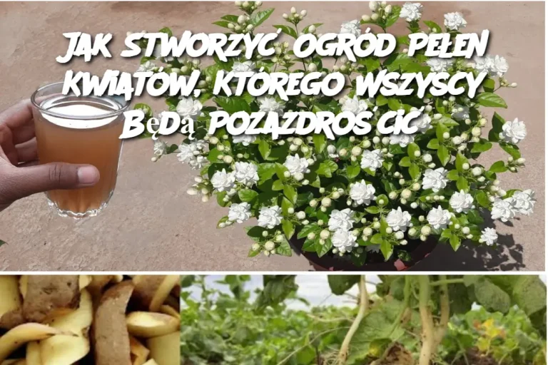 Jak Stworzyć Ogród Pełen Kwiatów, Którego Wszyscy Będą Pozazdrościć