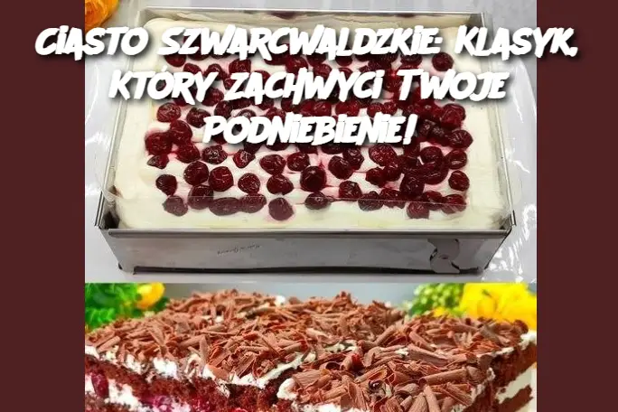 Ciasto Szwarcwaldzkie: Klasyk, Który Zachwyci Twoje Podniebienie!