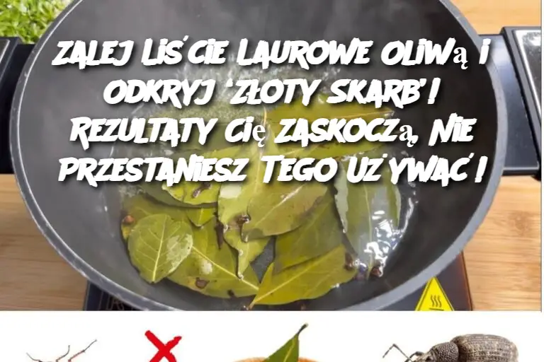 Zalej Liście Laurowe Oliwą i Odkryj ‘Złoty Skarb’! Rezultaty Cię Zaskoczą, Nie Przestaniesz Tego Używać!