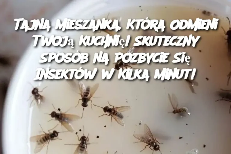 Tajna Mieszanka, Która Odmieni Twoją Kuchnię! Skuteczny Sposób na Pozbycie Się Insektów w Kilka Minut!