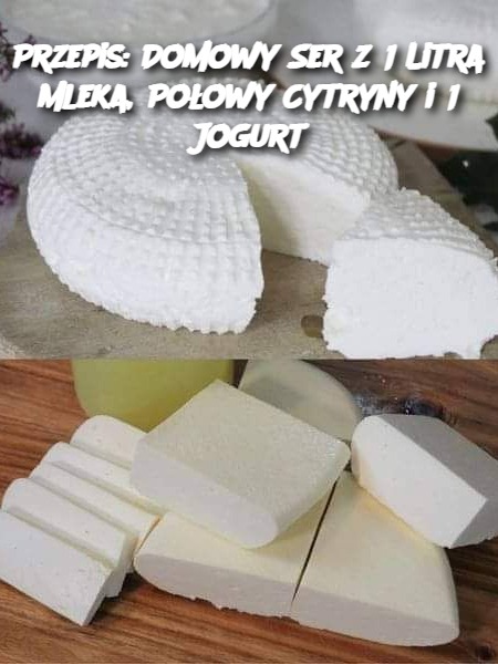 Przepis: Domowy Ser z 1 Litra Mleka, Połowy Cytryny i 1 Jogurt