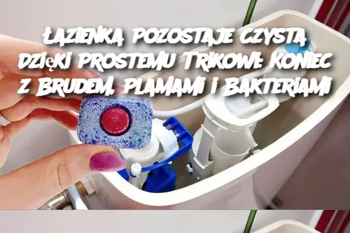 Łazienka Pozostaje Czysta Dzięki Prostemu Trikowi: Koniec z Brudem, Plamami i Bakteriami