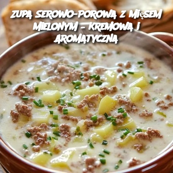 Zupa Serowo-Porowa z Mięsem Mielonym – Kremowa i Aromatyczna