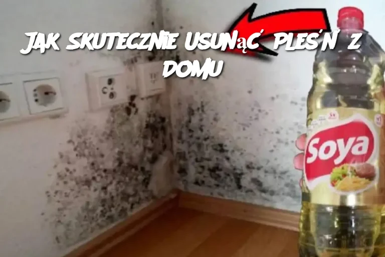 Jak Skutecznie Usunąć Pleśń z Domu