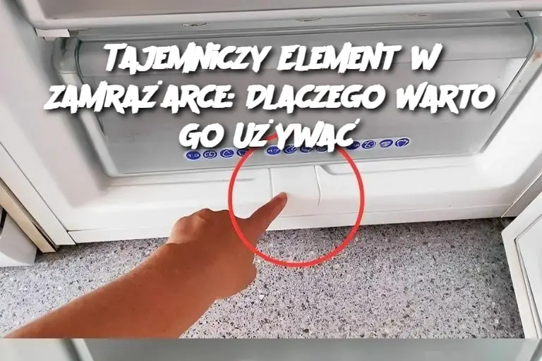 Tajemniczy Element w Zamrażarce: Dlaczego Warto Go Używać