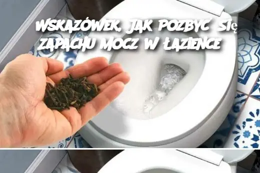 5 Wskazówek, Jak Pozbyć Się Zapachu Mocz w Łazience