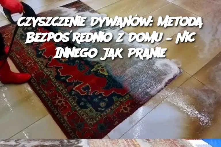 Czyszczenie Dywanów: Metoda Bezpośrednio z Domu – Nic Innego Jak Pranie