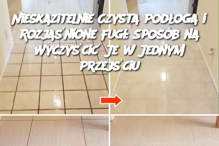 Nieskazitelnie Czysta Podłoga i Rozjaśnione Fugi: Sposób na Wyczyścić Je w Jednym Przejściu