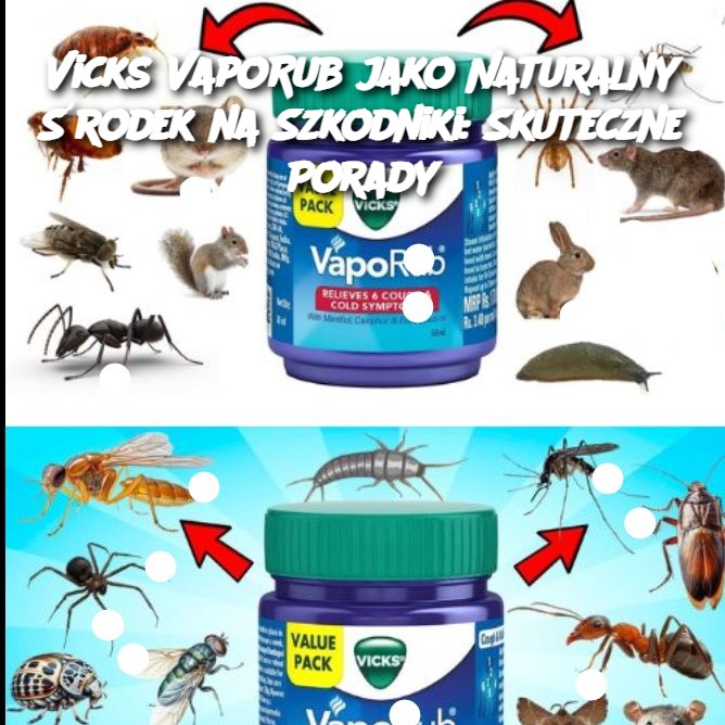 Vicks VapoRub jako Naturalny Środek na Szkodniki: Skuteczne Porady