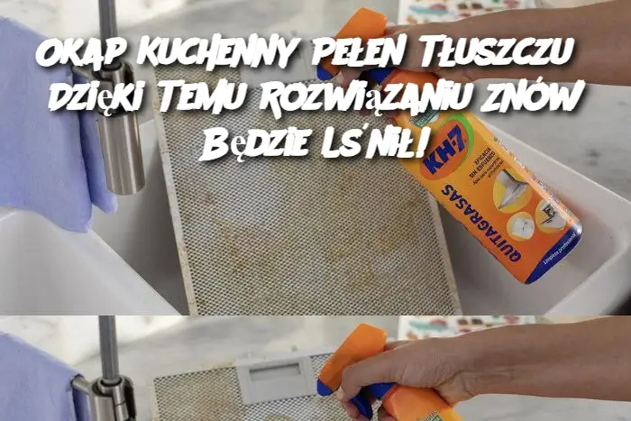 Okap Kuchenny Pełen Tłuszczu? Dzięki Temu Rozwiązaniu Znów Będzie Lśnił!